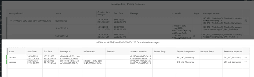 Screenshot: SAP PI/PO test case creation