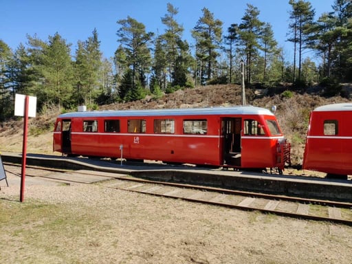 Red vintage Danish railcar from 1952 at a small station platform, with pine trees behind it on a sunny day