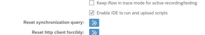 Development agent setting in Figaf with the checkbox Enable IDE to run and upload scripts selected