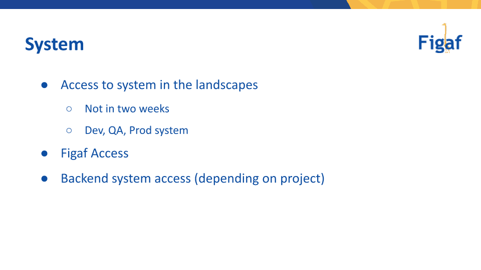 Slide on system access: Dev, QA and Prod systems in the landscape, Figaf access and backend system access